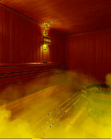 Vital Health Infrared Sauna